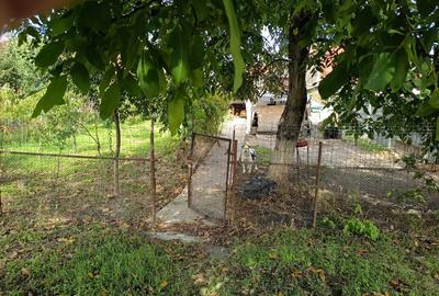 Vand casa pentru doua familii , Satu Mare - 5