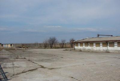 Spațiu industrial, de 1,200 mp, în Aeroport - 10