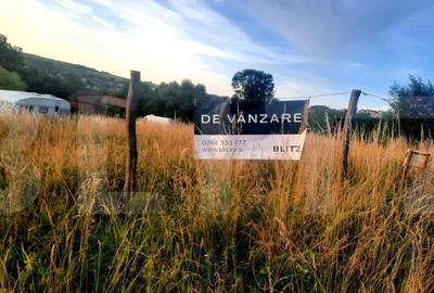 Teren intravilan 1129 mp, PUZ in lucru, in Borhanci - 3