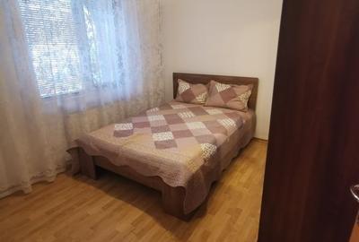Apartament cu 3 camere decomandat în Nicolae Grigorescu - 5