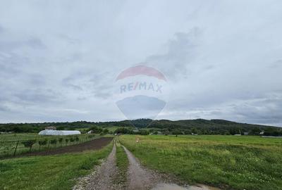 Teren 1,495mp Dobreni / Strada Parau Almas - 15