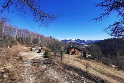 Casă cu 4 camere în Horea - 2