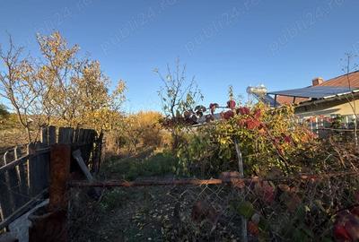 Casă cu 4 camere cu Teren 940 Mp în Răzvad - 3