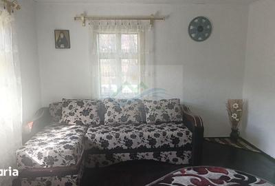 Casă cu 3 camere cu Teren 2700 Mp în Drăgoiești - 8