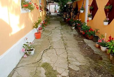 Casă cu 3 camere în Sânmartin - 5