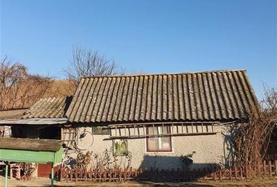 RECO Teren Santandrei 2000mp RECO Teren Santandrei 2000mp - 8