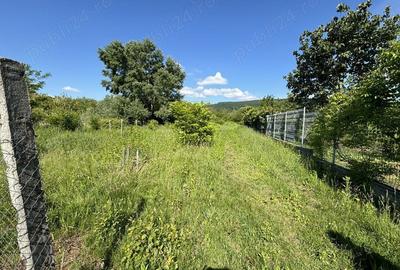 Teren de 2170 mp, în Olteni - 2