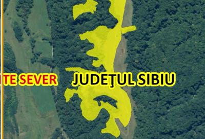 Teren de 124000 mp, în Șeica Mare - 6