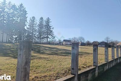 Teren de 4700 mp, în Brusturi - 2