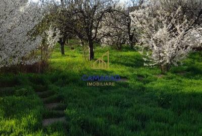 Spațiu comercial, în Tămădău Mare - 19