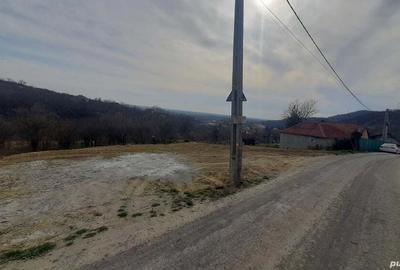 Teren în Podgoria - 2