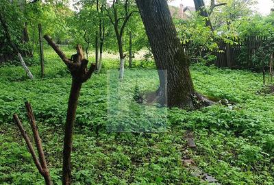 Casa batraneasca de vanzare in Tarlungeni - 12