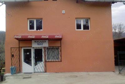 Casa de vanzare in Comuna Bezdead sat Magura Jud Dambovita Casa de vanzare in Comuna Bezdead sat Magura Jud Dambovita - 4