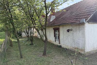 Casă cu 2 camere cu Teren 1560 Mp în Central - 4