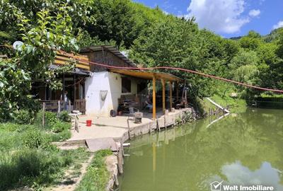 Casa de vacanta, cu lac, 5640 mp teren, Huta, com. Chiuiesti, jud. Cluj - 35