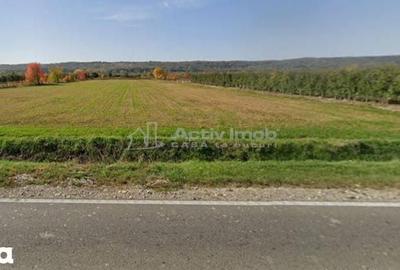 Teren de 13060 mp, în Voinești - 2