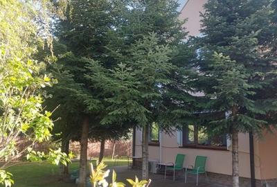 SNAGOV vila  spatioasa, curte amenajata, garaj, panouri fotovoltaice - 4