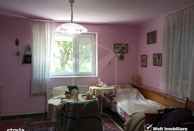 Casă cu 3 camere cu Teren 3320 Mp în Căpușu Mare - 9