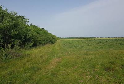 Spațiu comercial, în Central