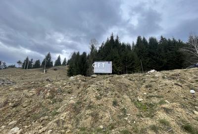 Teren parcelabil cu acces rapid la lacul Colibita - 4