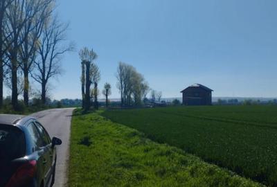 Vand teren intravilan 4000MP cu dechidere la Delta Neajlovu - 7