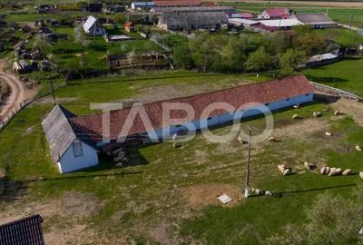 Casă cu 3 camere cu Teren 5039 Mp în Pianu - 7