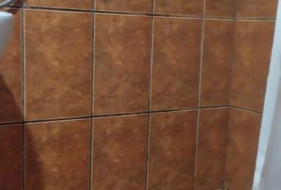 Garsonieră decomandată în Exterior Vest - 3