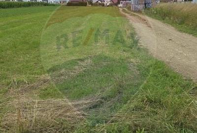 Teren 1,791mp Radauti / Strada Caramidariei - 4