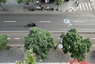 Apartament cu 2 camere semidecomandat în Calea Victoriei - 16