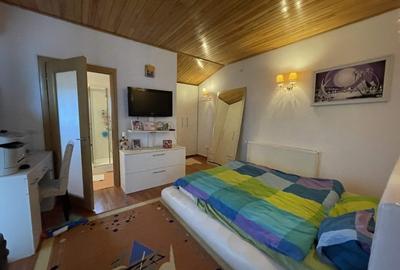 VILA P+1, Su = 350 mp.Teren 2000 mp + ANEXA,la DN 65- Valea Mare - 10