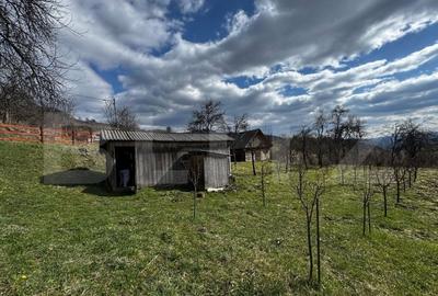 Casa la munte, teren 8324 mp, anexe, zona comuna Bucium - 7