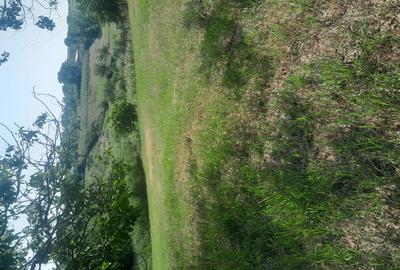 Casă în Central - 2