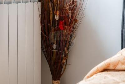 Casă individuală cu 5 camere cu Teren 4242 Mp în Vânători-Neamț - 29