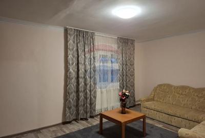 Apartament cu 2 camere, decomadat, de inchiriat in zona Aradul Nou - 2