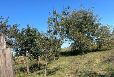 Casă cu 3 camere în Decea - 2