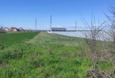 Spațiu comercial, de 5,024 mp, în Șimnicu de Sus - 1