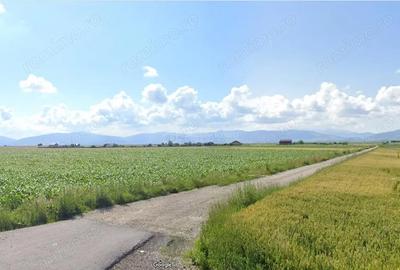 Teren de 7100 mp, în Hărman