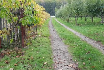 Vand casa zona Baisa - 5