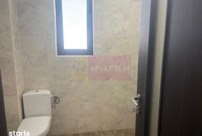 Casă cu 5 camere cu Teren 410 Mp în Domnești - 3