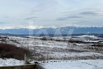 Casă individuală cu 8 camere cu Canalizare în Daia - 5