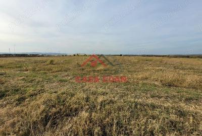 Teren intravilan in Baicoi zona targului--10.000mp--5e - 1