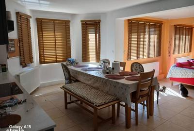 Casă cu 5 camere cu Teren 1500 Mp în Drajna - 4