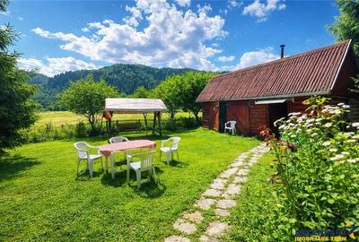 Casă cu Teren 1360 Mp în Lunca - 2