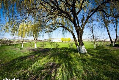 Teren de 21606 mp, în Central - 2