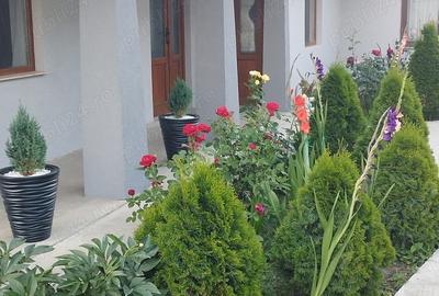 Casă cu 5 camere cu Teren 1100 Mp în Umbrărești - 9