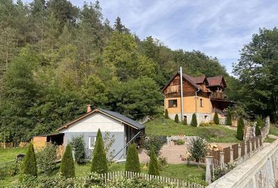 Casă cu 3 camere în Ocoliș - 7