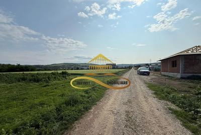 Teren de 500 mp, în Crihan - 5