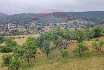 Casă cu 6 camere cu Teren 800 Mp în Șuncuiuș - 2