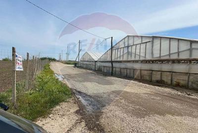 Teren de 17000 mp, în Matca - 5