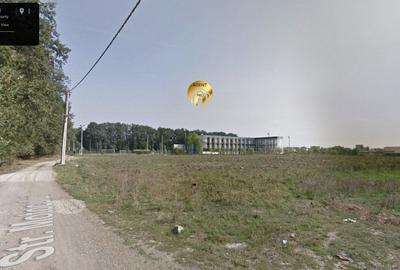 Teren intravilan 15.000mp langa FRF si Padure - Mogosoaia - 2